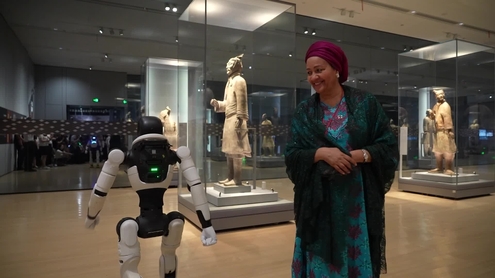 AI and Human Development: From Cairo to New York
