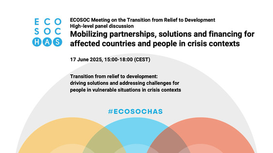 2025 ECOSOC Meeting on the Transition from Relief to Development - Economic and Social Council, 26th plenary meeting