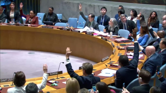 La situación en Oriente Medio, incluida la cuestión palestina - Consejo de Seguridad, 9586ª sesión