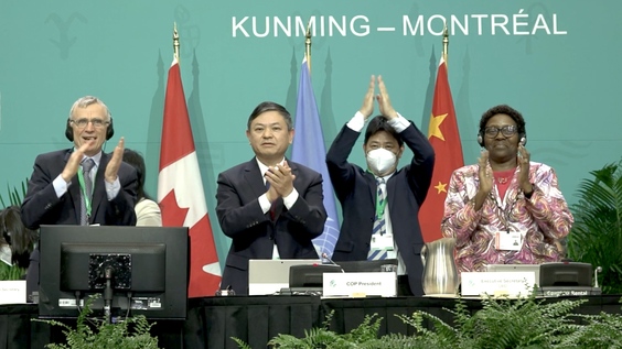 COP15 Wrap: Nations agree to &#039;historic&#039; deal to protect a third of the world&#039;s biodiversity