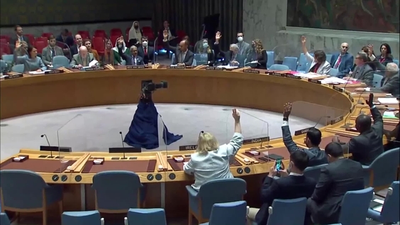 Положение в Ливии - Совет Безопасности, 9053-е заседание