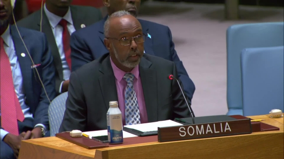 The situation in Somalia - Security Council, 9446th meeting
