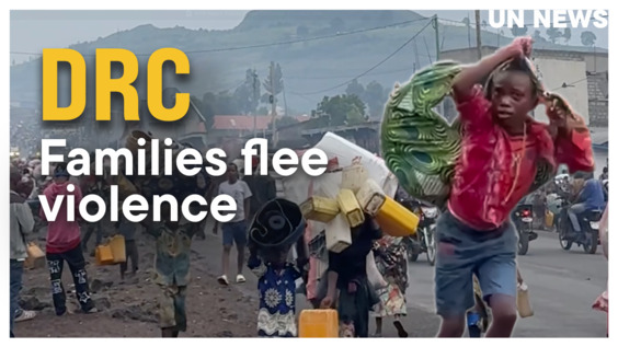 Families Flee Violence in Eastern Democratic Republic of Congo | UN Web TV