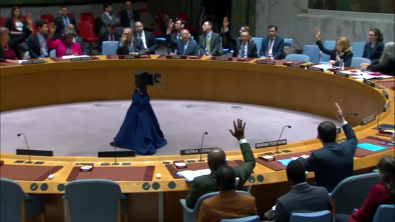 Положение на Кипре - Совет Безопасности, 9539-е заседание