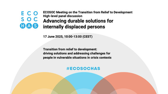 2025 ECOSOC Meeting on the Transition from Relief to Development - Economic and Social Council, 25th plenary meeting
