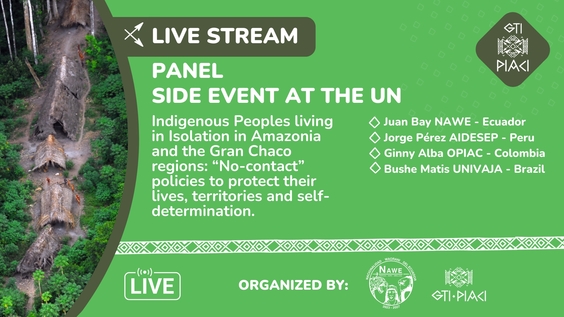 Indigenous Peoples living in Isolation in Amazonia and the Gran Chaco regions: "No-contact" policies to protect their lives, territories and self-determination (UNPFII Side Event)