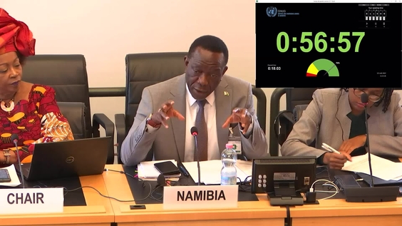 2998th Meeting, 110th Session, Committee on the Elimination of Racial Discrimination (CERD)