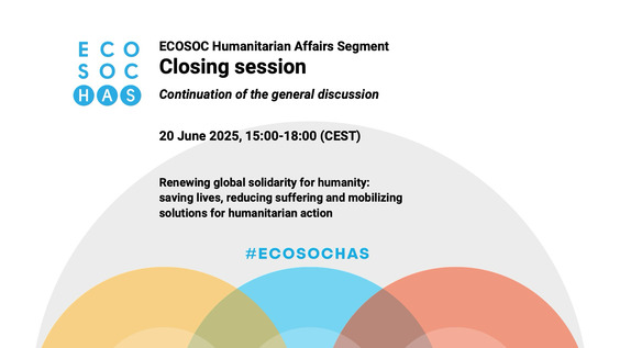 2025 ECOSOC Humanitarian Affairs Segment - Economic and Social Council, 32nd Plenary Meeting