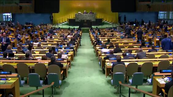 General Assembly: 72nd Plenary Meeting (resumed), 77th Session