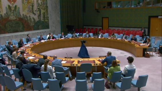 (Continued) Working methods of the Security Council - Security Council, 9410th meeting