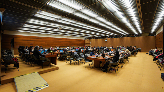 2063rd Meeting, 88th Session, Committee on the Elimination of Discrimination against Women (CEDAW)
