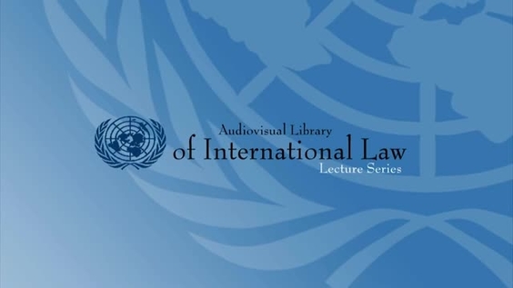 Anne Trebilcock - The Implementation of International Labour Law