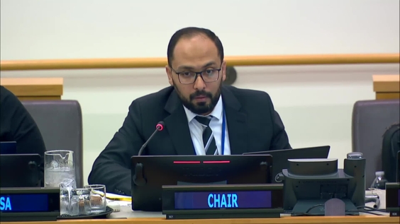(5th meeting) First Session Ad Hoc Committee to Draft Terms of Reference for a United Nations Framework Convention on International Tax Cooperation