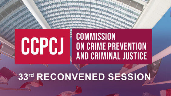 [Separate Meeting] CCPCJ 33rd Reconvened Session – 6 December 2024