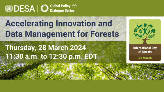 Accelerating Innovation and Data Management for Forests: A UN DESA Global Policy Dialogue