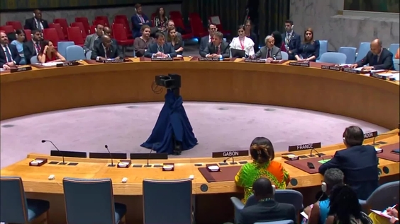 The Situation in the Central African Republic - Security Council, 9388th meeting