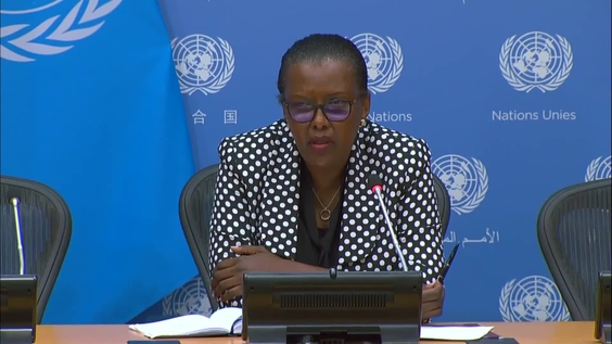 The situation in the Central African Republic - Press Conference 