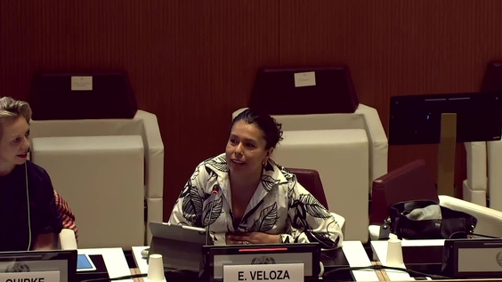 2025 ECOSOC Humanitarian Affairs Segment - Economic and Social Council, 30th Plenary Meeting
