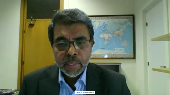 Press Conference: FAO Food Price Index for October 2022