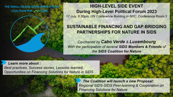 Sustainable Financing and Gap-Bridging Partnerships for Nature in SIDS (HLPF 2023 Special Event)