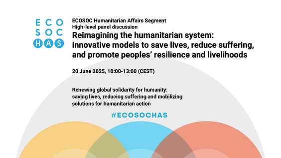 2025 ECOSOC Humanitarian Affairs Segment - Economic and Social Council, 31st Plenary Meeting