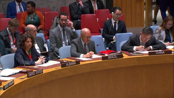The Situation in Somalia - Security Council, 9356th Meeting