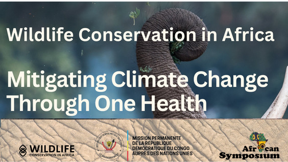 Conserving Wildlife in Africa: Addressing Climate Change with One Health Approach
