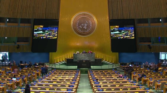 General Assembly: Tenth emergency special session (resumed), 45th plenary meeting