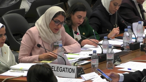 2072nd Meeting, 88th Session, Committee on the Elimination of Discrimination against Women (CEDAW)