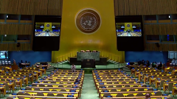 联合国大会第78届会议 - 第69次全体会议