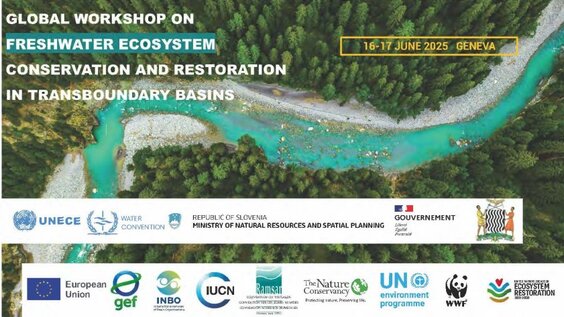 4th Meeting, Global Workshop on Ecosystems Conservation and Restoration in Transboundary Basins
