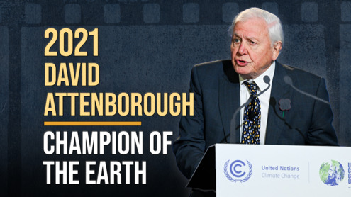 Stories From the UN Archive, Episode 23 - David Attenborough, Champion of the Earth