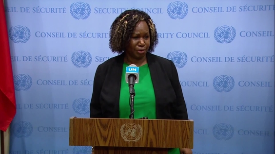 Bintou Keita (MONUSCO) on the situation in the Democratic Republic of the Congo - Security Council Media Stakeout