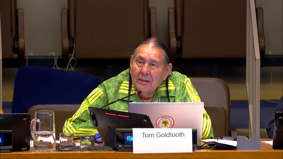 Recommendation to the Permanent Forum on Indigenous Issues to Declare a Moratorium on Climate False Solutions (UNPFII Side Event)