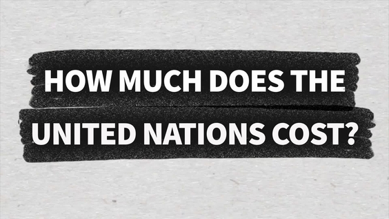 How Much Does the UN Really Cost?