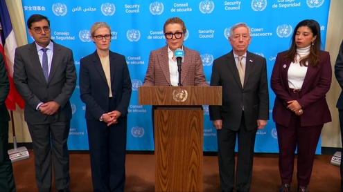 Aglaia Balta (Greece/ Security Council President) on behalf of the Joint Pledgers of the Security Council on Climate, Peace and Security, on Haiti - Joint Security Council Media Stakeout
