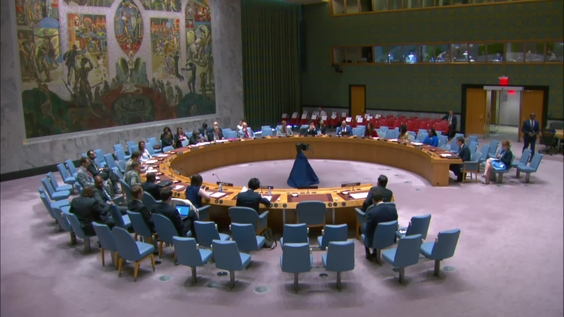 (Continued) Maintenance of International Peace and Security - Security Council, 9392nd Meeting