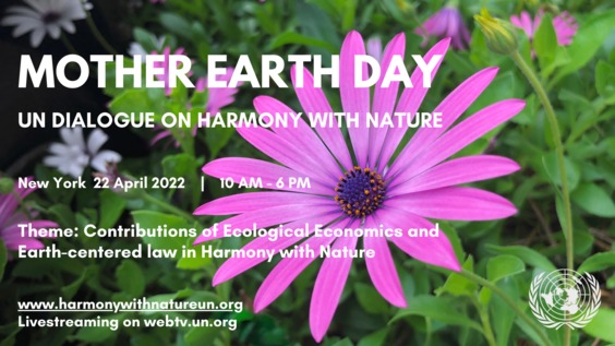 General Assembly: Interactive dialogue on Harmony with Nature, 76th session