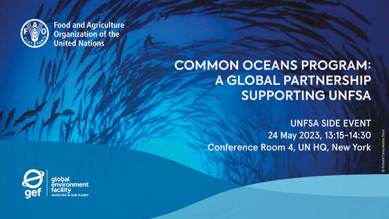 The Common Oceans Program - a global partnership supporting UN Fish Stocks Agreement (UNFSA)
