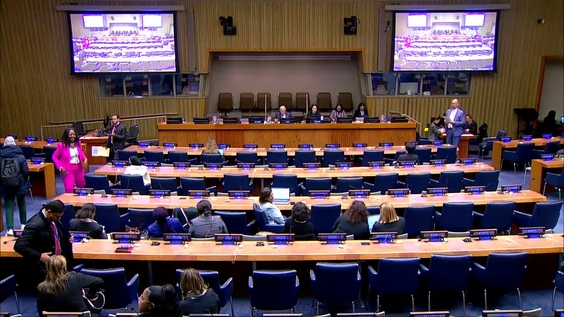 13th plenary meeting - Commission on the Status of Women, Sixty-eighth session (CSW68) - General discussion (continued)