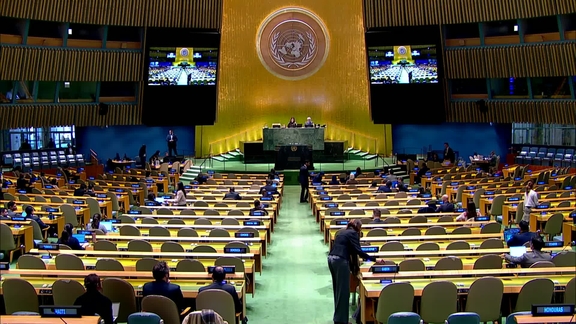 General Assembly: 46th plenary meeting, 80th session