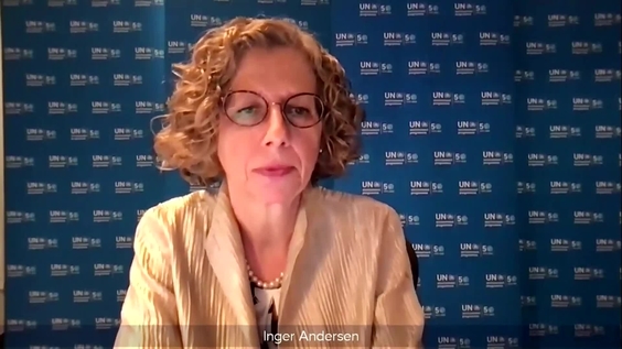 Inger Andersen (UNEP) on the situation in Yemen - Security Council, 8786th meeting