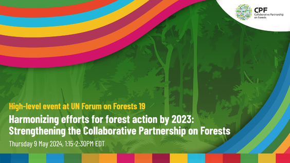 Harmonizing efforts for forest action by 2030: Strengthening the Collaborative Partnership on Forests (UNFF19 Side Event)