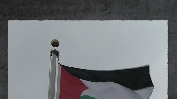 Palestine UN membership