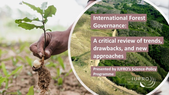 International Forest Governance: A comprehensive global review (Side Event UNFF19)
