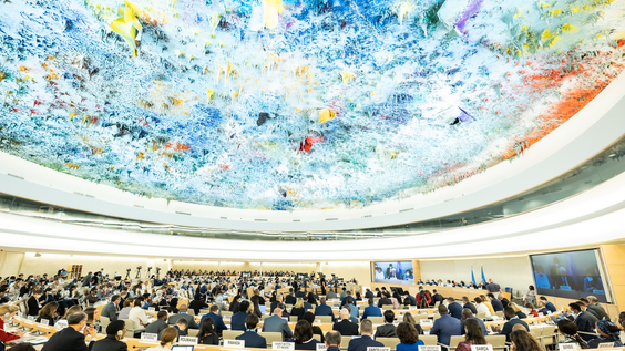Organizational Session for 17th Cycle - Human Rights Council | UN Web TV