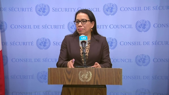 Carolyn Rodrigues-Birkett (Guyana, Security Council President) on the Democratic Republic of the Congo - Security Council Media Stakeout