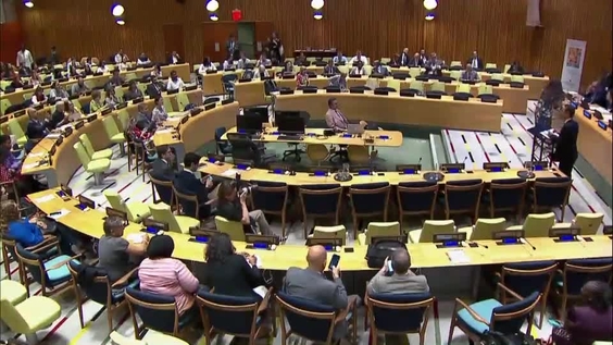 Effective Implementation, Monitoring and Financing of Goal 11 (2018 HLPF Side Event)