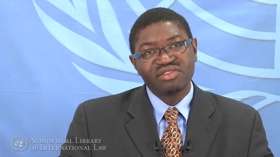 Dapo Akande - The Prohibition of the Use of Force in International Relations