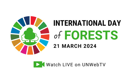 Celebration of the 2024 International Day of Forests